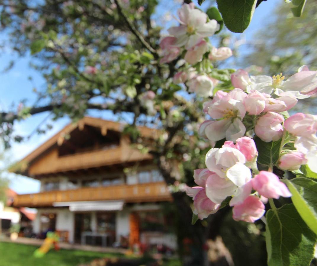 Appartementhaus Schirsner - Direkt Am See & Am Kurpark 施利尔塞 外观 照片